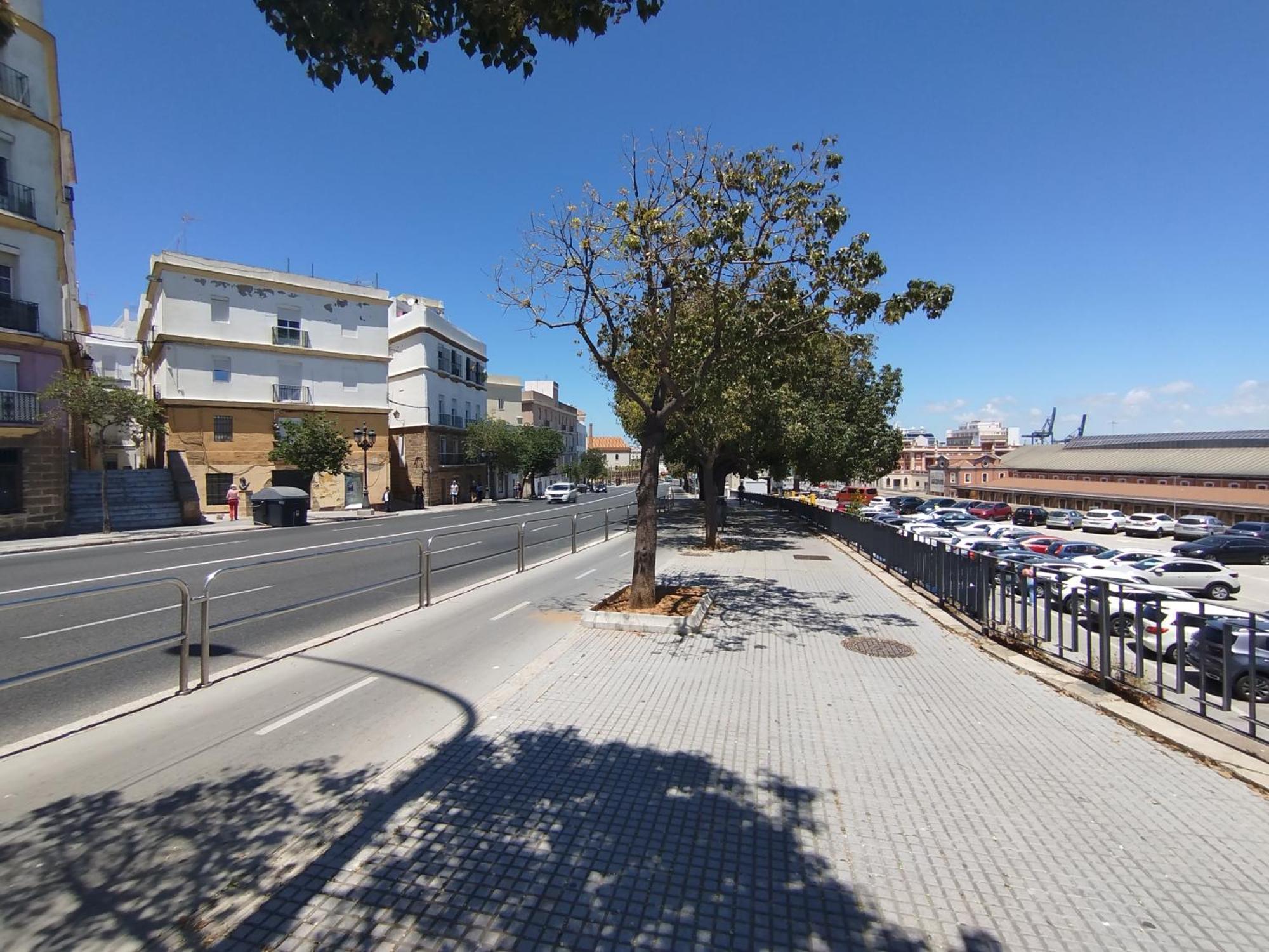 Loft En Corazon De Cadiz By C.Dreams Apartment Exterior photo
